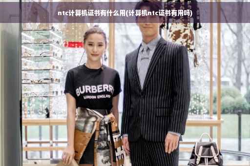 ntc计算机证书有什么用(计算机ntc证书有用吗)