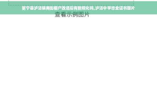 冕宁县泸沽镇南街棚户改造后有新规化吗,泸沽中学毕业证书图片