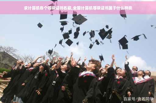 求计算机各个等级证书名称,全国计算机等级证书属于什么种类