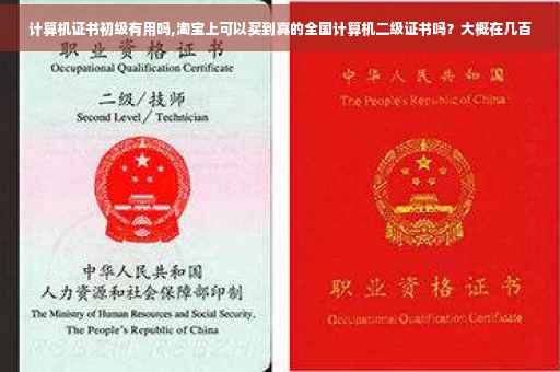 计算机证书初级有用吗,淘宝上可以买到真的全国计算机二级证书吗？大概在几百
