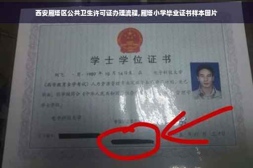 西安雁塔区公共卫生许可证办理流程,雁塔小学毕业证书样本图片