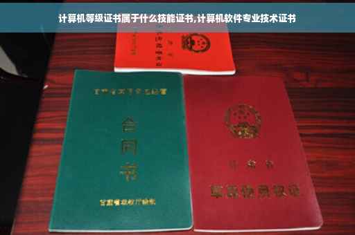 计算机等级证书属于什么技能证书,计算机软件专业技术证书