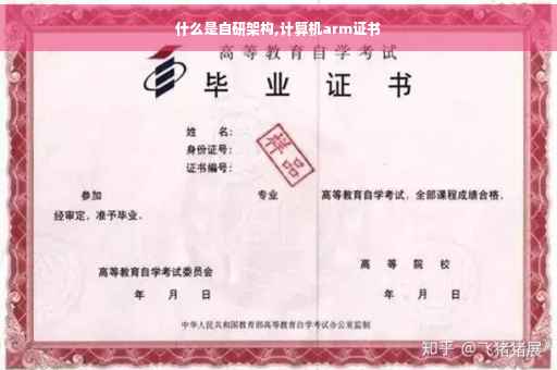 什么是自研架构,计算机arm证书
