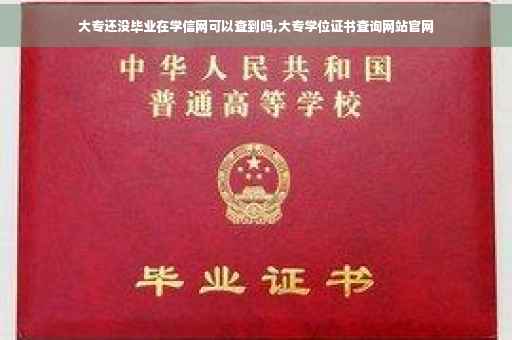 大专还没毕业在学信网可以查到吗,大专学位证书查询网站官网