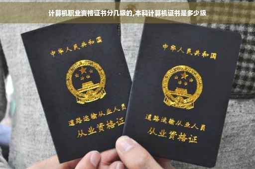 计算机职业资格证书分几级的,本科计算机证书是多少级