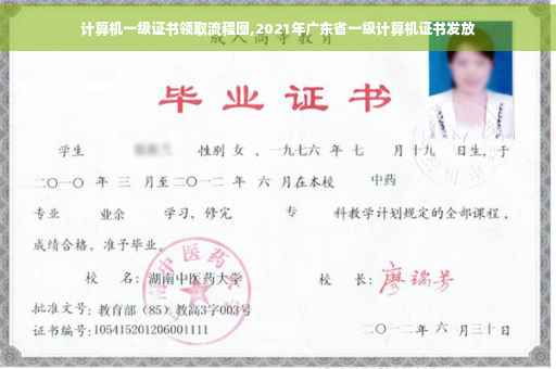 计算机一级证书领取流程图,2021年广东省一级计算机证书发放