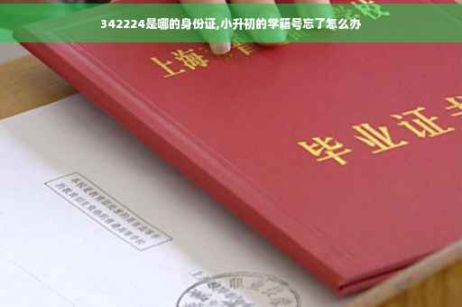 342224是哪的身份证,小升初的学籍号忘了怎么办