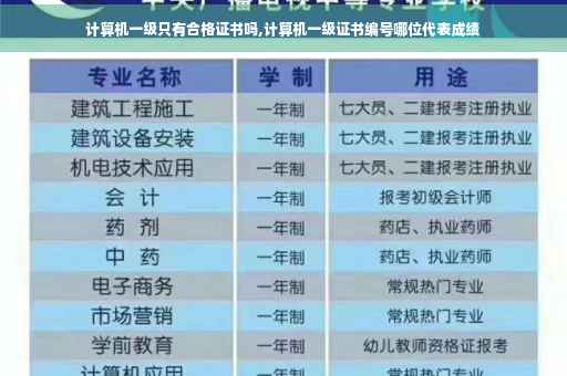 计算机一级只有合格证书吗,计算机一级证书编号哪位代表成绩