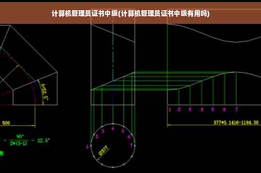 计算机管理员证书中级(计算机管理员证书中级有用吗) 计算机管理员证书中级(计算机管理员证书中级有用吗)