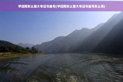 学信网怎么查大专证书编号(学信网怎么查大专证书编号怎么看)