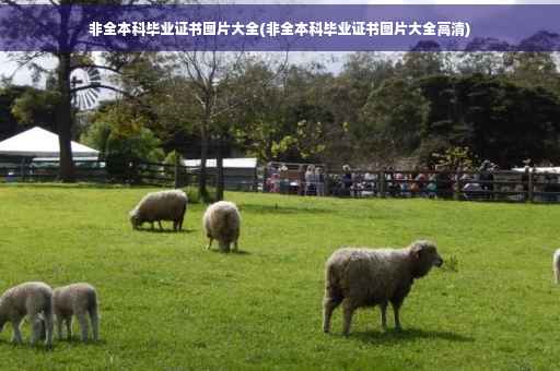 非全本科毕业证书图片大全(非全本科毕业证书图片大全高清)