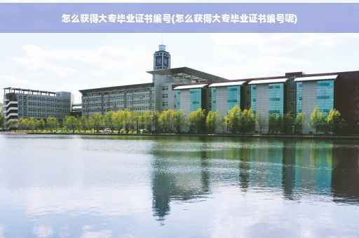 怎么获得大专毕业证书编号(怎么获得大专毕业证书编号呢)