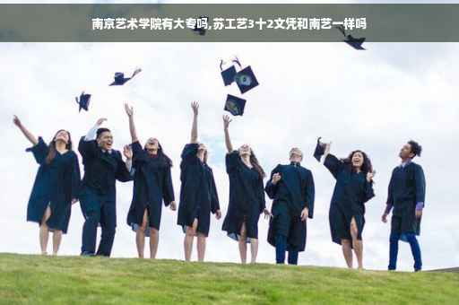 南京艺术学院有大专吗,苏工艺3十2文凭和南艺一样吗