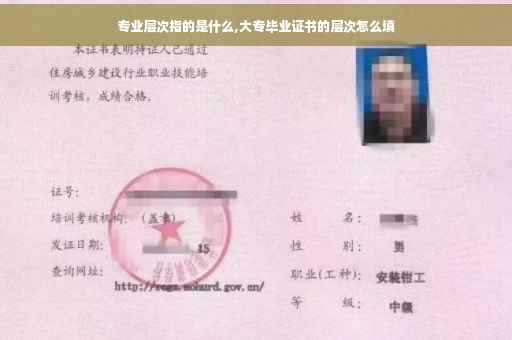专业层次指的是什么,大专毕业证书的层次怎么填