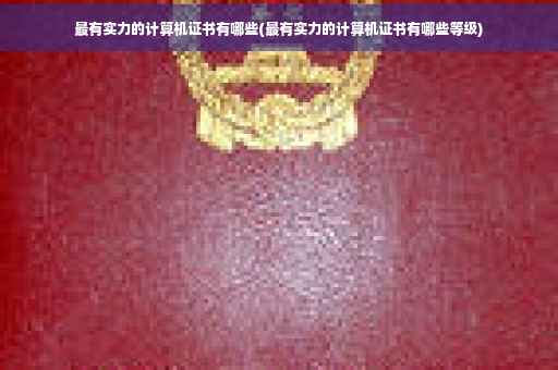 最有实力的计算机证书有哪些(最有实力的计算机证书有哪些等级)
