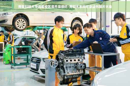 青岛科技大学高密校区是不是很烂-青科大本科毕业证书图片大全