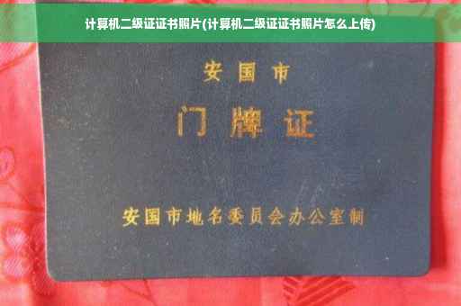 计算机二级证证书照片(计算机二级证证书照片怎么上传)