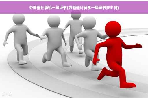 办新疆计算机一级证书(办新疆计算机一级证书多少钱)