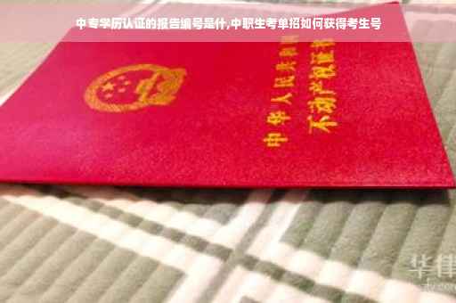 中专学历认证的报告编号是什,中职生考单招如何获得考生号