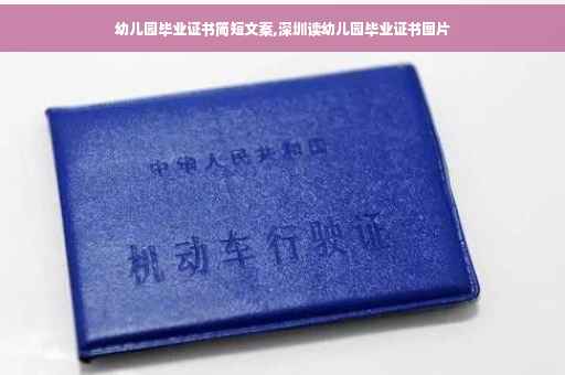 幼儿园毕业证书简短文案,深圳读幼儿园毕业证书图片