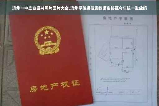 滨州一中毕业证书照片图片大全,滨州学院师范类教师资格证今年统一发放吗