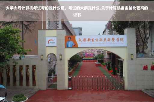 大学大专计算机考试考的是什么证，考试的大纲是什么,关于计算机含金量比较高的证书