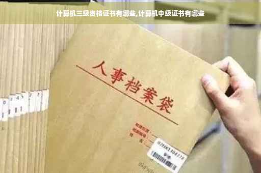 计算机三级资格证书有哪些,计算机中级证书有哪些