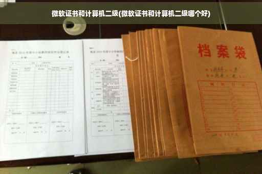 微软证书和计算机二级(微软证书和计算机二级哪个好) 微软证书和计算机二级(微软证书和计算机二级哪个好)