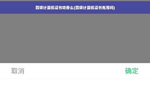 四级计算机证书吃香么(四级计算机证书有用吗)