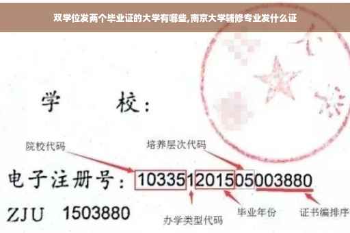 双学位发两个毕业证的大学有哪些,南京大学辅修专业发什么证