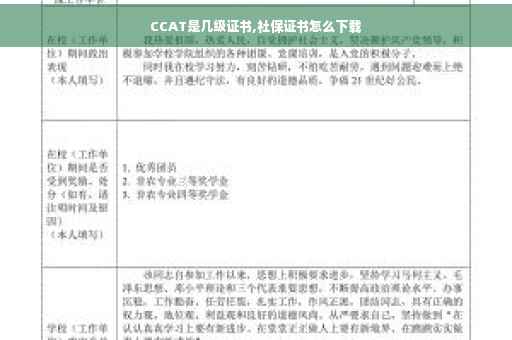 CCAT是几级证书,社保证书怎么下载
