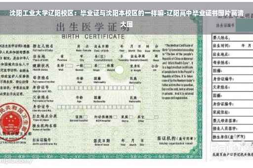 沈阳工业大学辽阳校区：毕业证与沈阳本校区的一样嘛-辽阳高中毕业证书图片高清大图