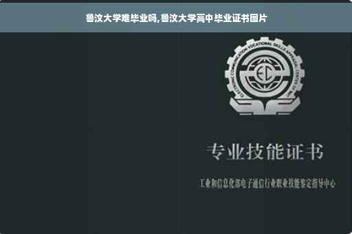 鲁汶大学难毕业吗,鲁汶大学高中毕业证书图片