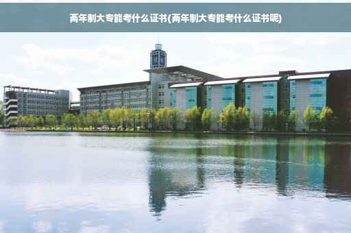 两年制大专能考什么证书(两年制大专能考什么证书呢)