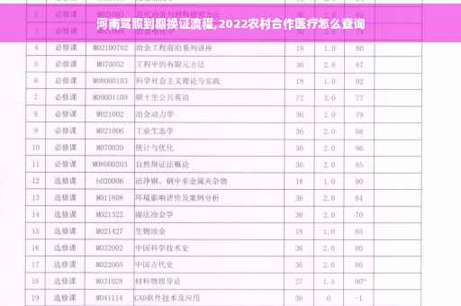 河南驾照到期换证流程,2022农村合作医疗怎么查询