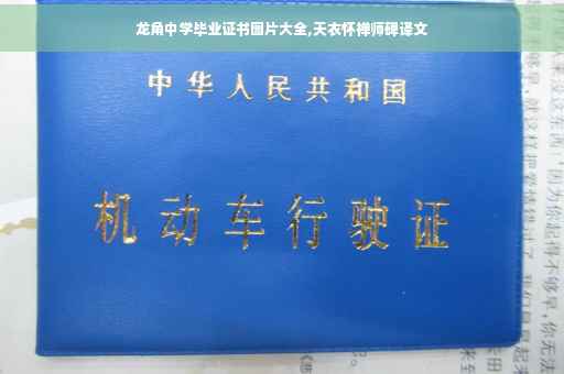 龙角中学毕业证书图片大全,天衣怀禅师碑译文