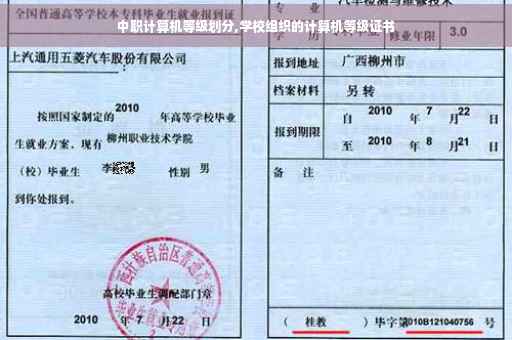 中职计算机等级划分,学校组织的计算机等级证书