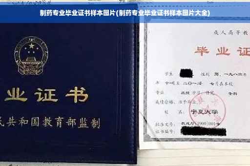 制药专业毕业证书样本图片(制药专业毕业证书样本图片大全)
