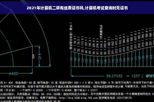 2021年计算机二级有纸质证书吗,计算机考试查询时无证书