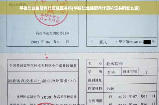 学校毕业档案有计算机证书吗(学校毕业档案有计算机证书吗怎么查)