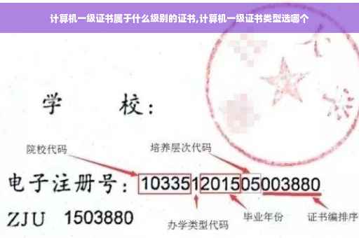 计算机一级证书属于什么级别的证书,计算机一级证书类型选哪个