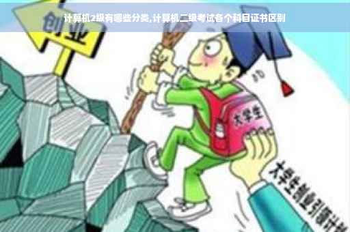 计算机2级有哪些分类,计算机二级考试各个科目证书区别