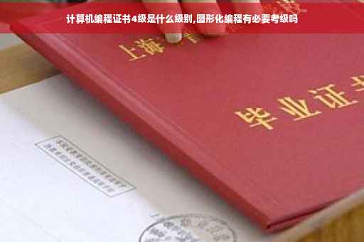 计算机编程证书4级是什么级别,图形化编程有必要考级吗