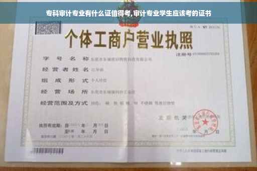 专科审计专业有什么证值得考,审计专业学生应该考的证书