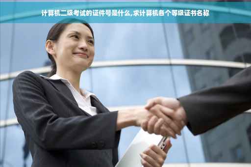 计算机二级考试的证件号是什么,求计算机各个等级证书名称