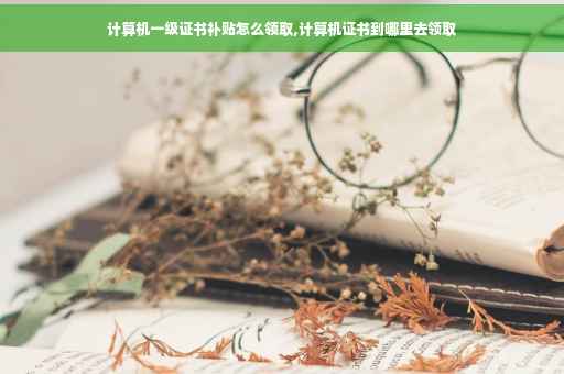 计算机一级证书补贴怎么领取,计算机证书到哪里去领取