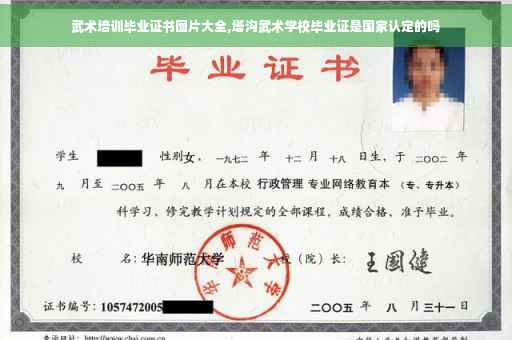 武术培训毕业证书图片大全,塔沟武术学校毕业证是国家认定的吗