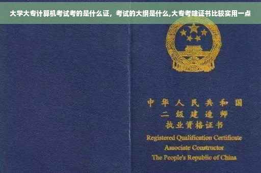 大学大专计算机考试考的是什么证，考试的大纲是什么,大专考啥证书比较实用一点