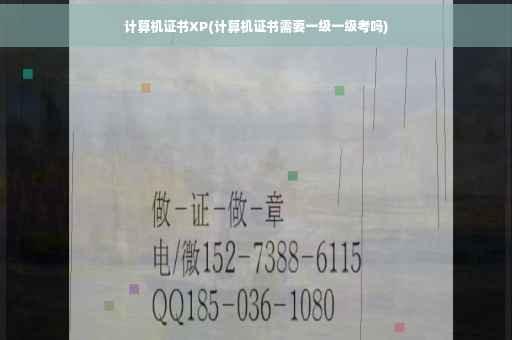 计算机证书XP(计算机证书需要一级一级考吗)