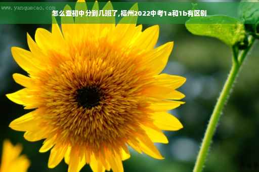 怎么查初中分到几班了,福州2022中考1a和1b有区别